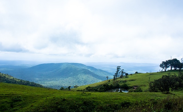 意甲裁判指派员罗基：米兰德比的点球判罚准确无误