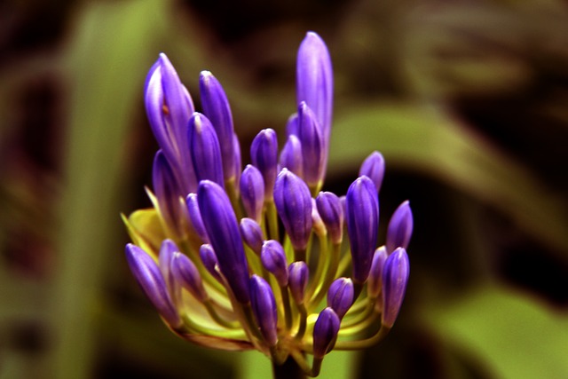 家队备战 家队备战