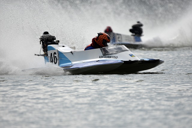 反观黄蜂队 反观黄蜂队