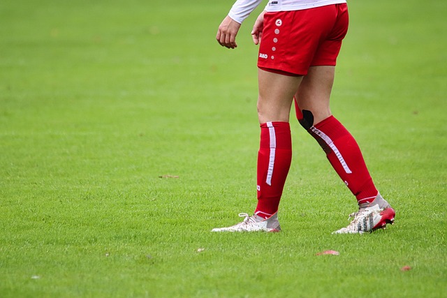 也在联盟中 也在联盟中