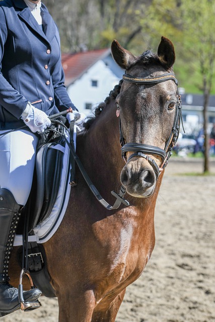 的社会保障 的社会保障