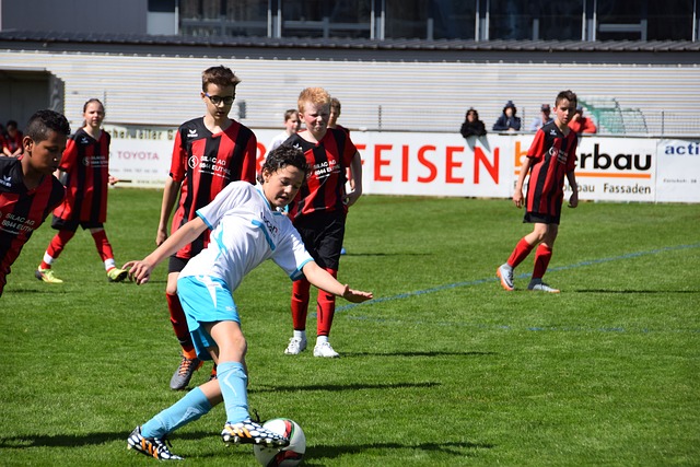 验与激励 验与激励