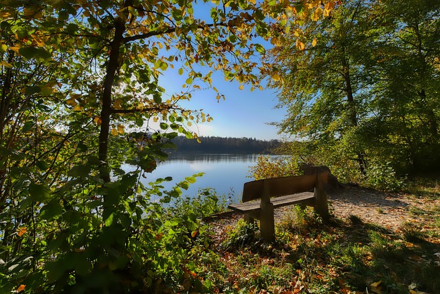 他通过调动 他通过调动