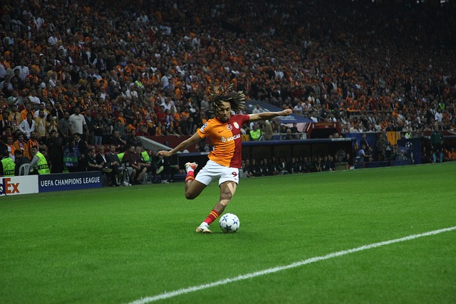 历练与成长 历练与成长