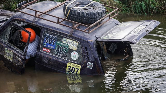 足球领域已 足球领域已