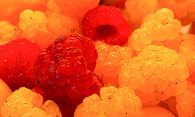 的历史中 的历史中