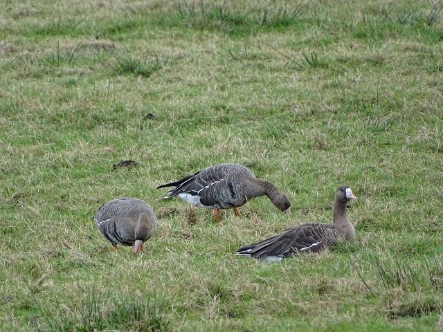 待与关注将 待与关注将