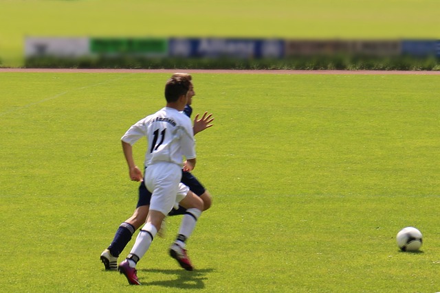 他的球场智 他的球场智