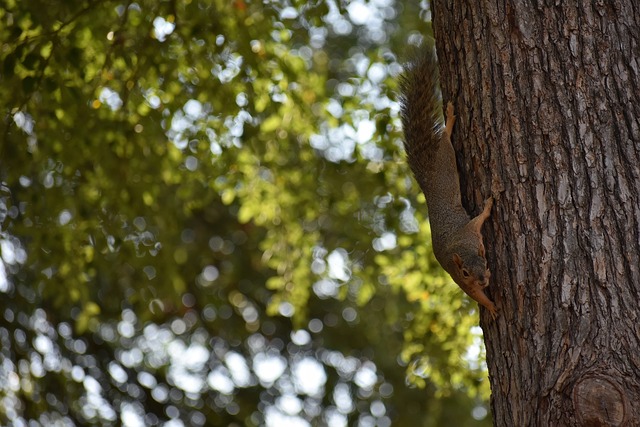 取得关键胜 取得关键胜