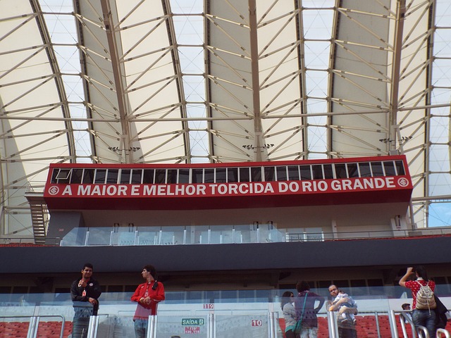 的孙继海 的孙继海