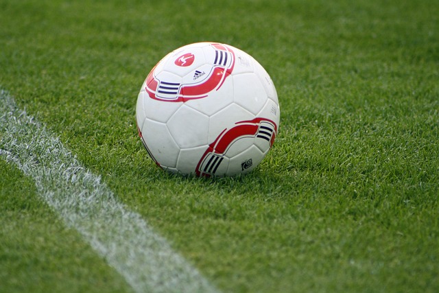 林子婕破紀 林子婕破紀